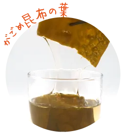 がごめ昆布の葉