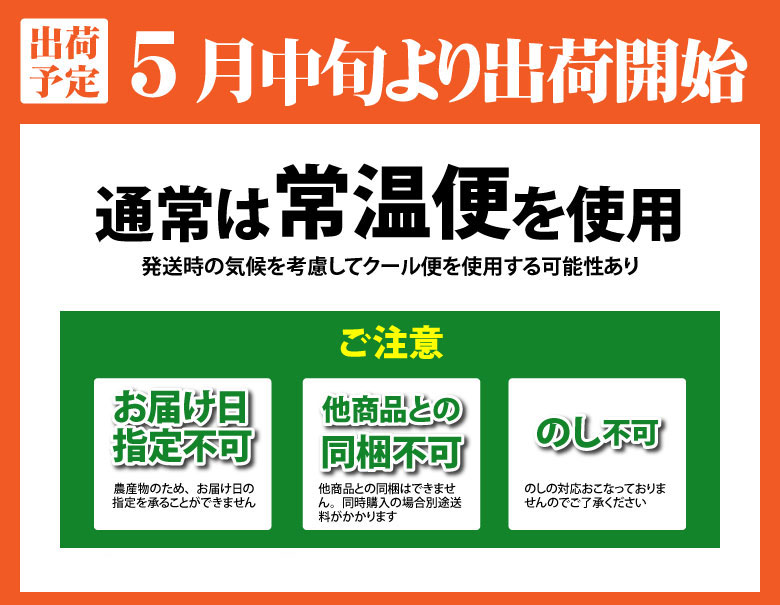 黄金に輝く果実茂木びわ