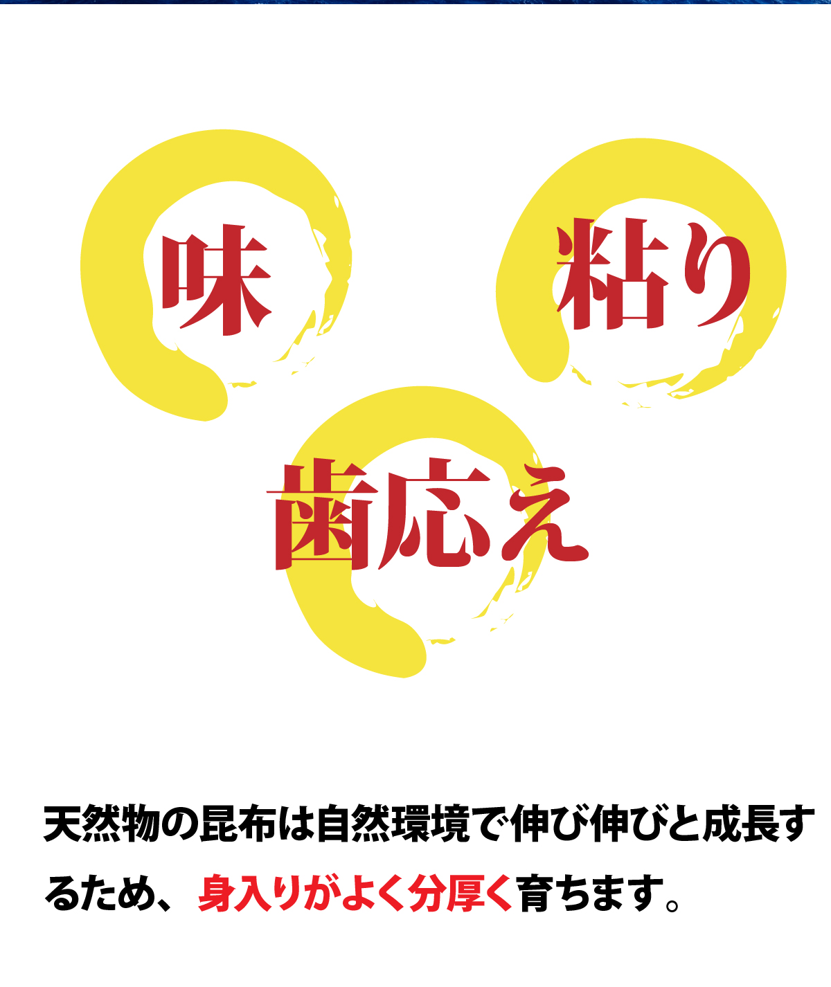 天然利尻出汁昆布