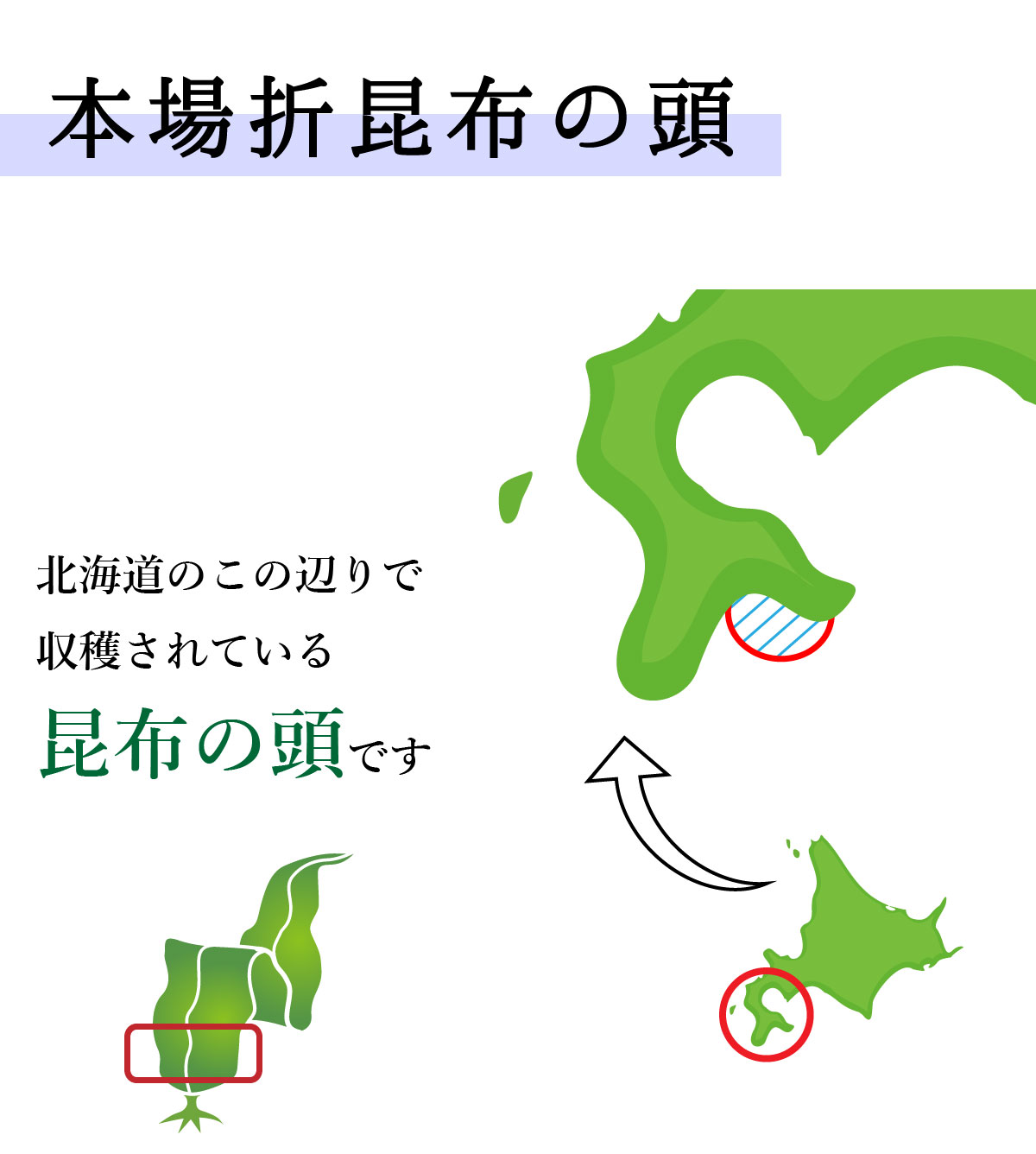 道南産真昆布白口浜