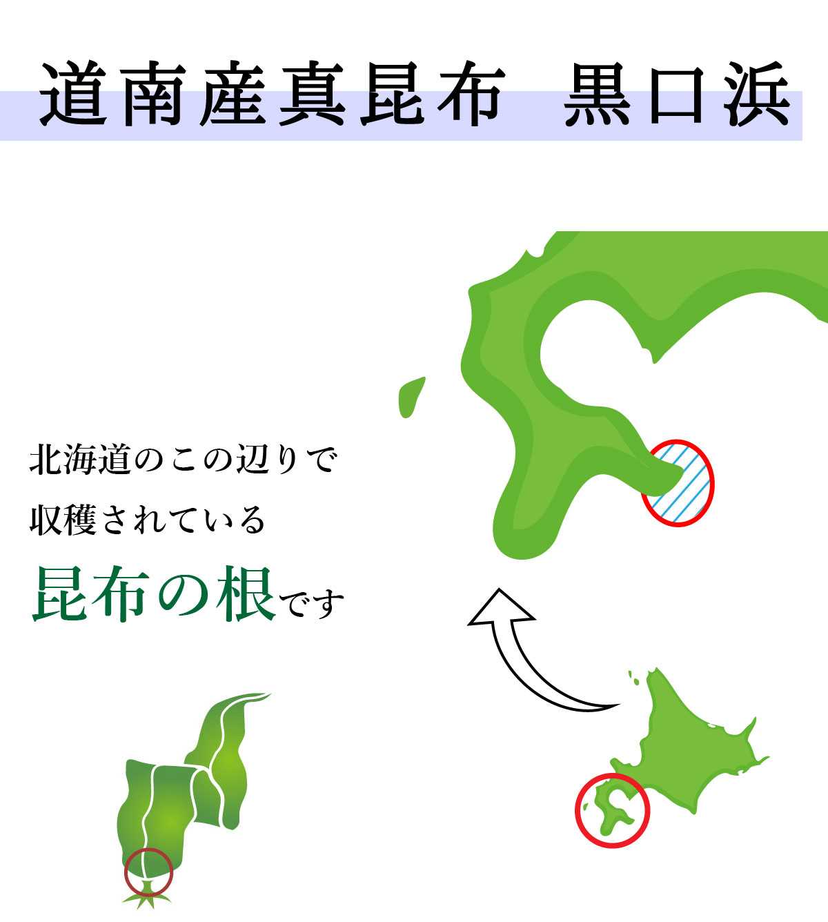 道南産真昆布白口浜