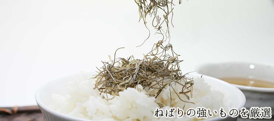 粘り強いものを選びました