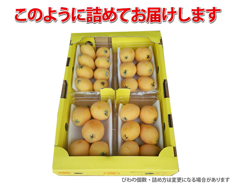 このように詰めてお届けします