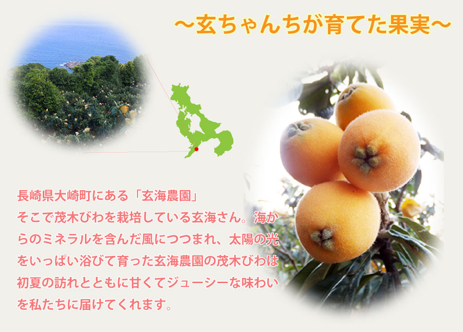 玄ちゃんちが育てた果実