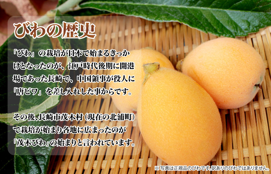 びわの歴史