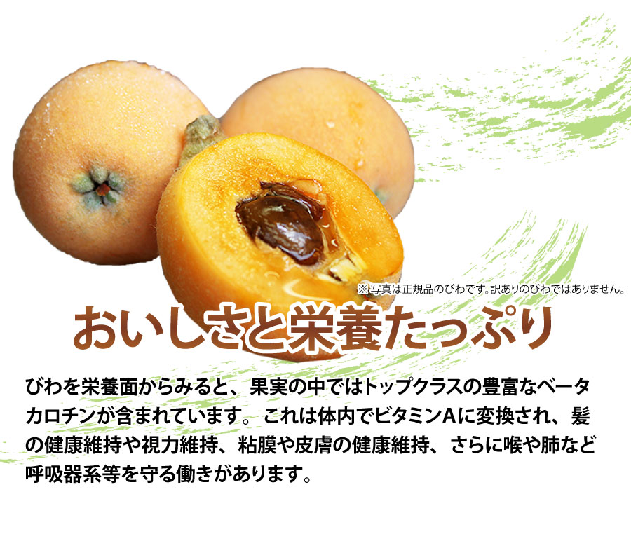 おいしさと栄養たっぷり