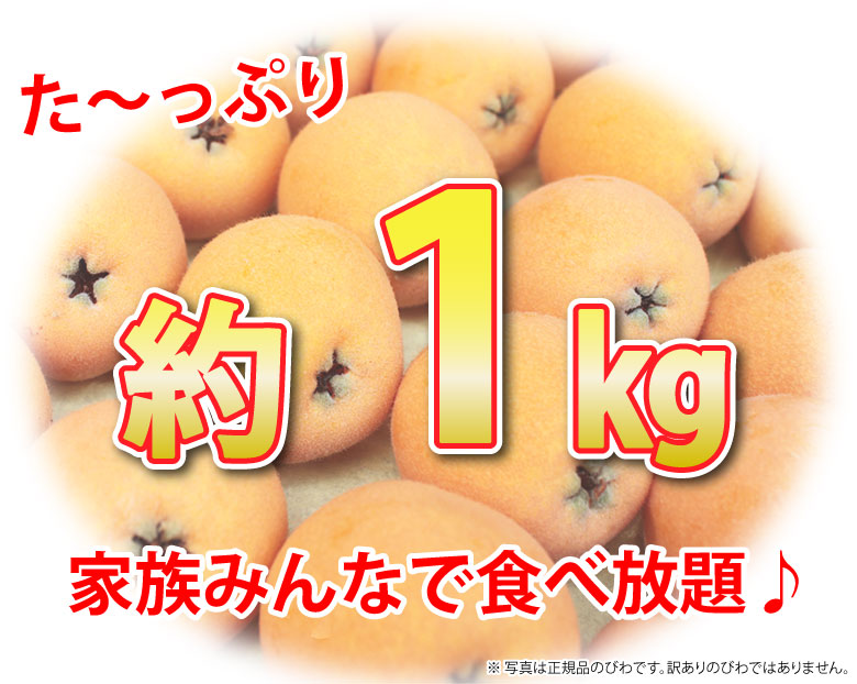 たっぷり約1㎏