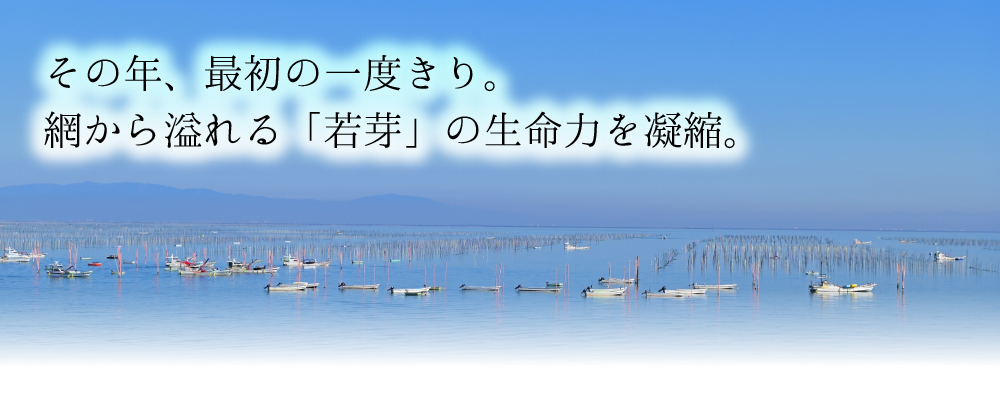 有明の華