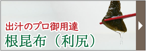 根昆布(利尻・礼文島)