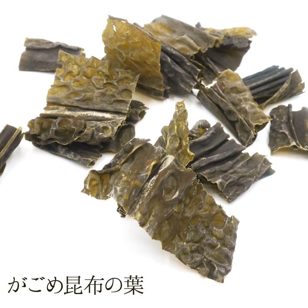 がごめ昆布の葉